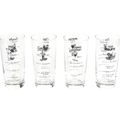 La Chaise Longue Boissons & Cocktails-COFFRET VERRES RECETTES COCKTAILS