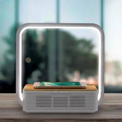 La Chaise Longue Son & Musique|Son & Musique-ENCEINTE BT CHARGEUR LAMPE LED