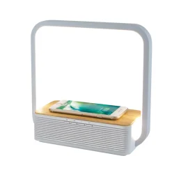 La Chaise Longue Son & Musique|Son & Musique-ENCEINTE BT CHARGEUR LAMPE LED