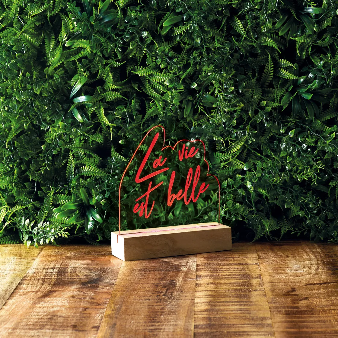 La Chaise Longue Déco Lumineuse|Déco-LAMPE NEON LA VIE EST BELLE