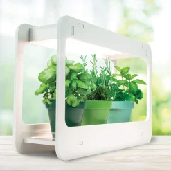 La Chaise Longue Luminaire-LAMPE POTAGER D'INTERIEUR