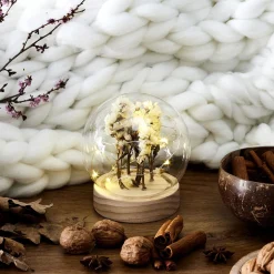 La Chaise Longue Déco Lumineuse|Déco-VEILLEUSE RONDE FLEURS SECHEES