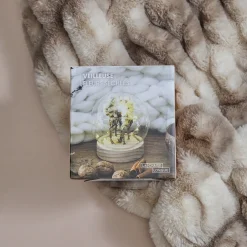 La Chaise Longue Déco Lumineuse|Déco-VEILLEUSE RONDE FLEURS SECHEES